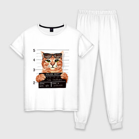 Женская пижама хлопок с принтом РУТОЙ КОТ В ОЧКАХ ЗАКЛЮЧЕННЫЙ в Курске, 100% хлопок | брюки и футболка прямого кроя, без карманов, на брюках мягкая резинка на поясе и по низу штанин | cat | cats | cool | cute | funny | kitten | kitty | meow | pet | prisoner | в очках | заключенный | кот | котик | коты | кошка | кошки | милый