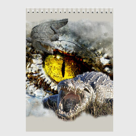 Скетчбук с принтом Глаз крокодила в Курске, 100% бумага
 | 48 листов, плотность листов — 100 г/м2, плотность картонной обложки — 250 г/м2. Листы скреплены сверху удобной пружинной спиралью | аллигатор | глаз | крокодил | крокодильчик | ящер