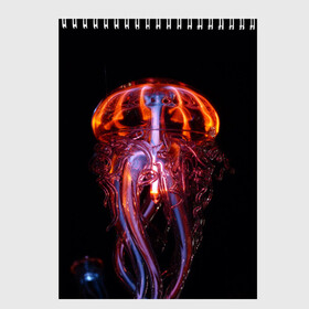 Скетчбук с принтом Медуза | Jellyfish в Курске, 100% бумага
 | 48 листов, плотность листов — 100 г/м2, плотность картонной обложки — 250 г/м2. Листы скреплены сверху удобной пружинной спиралью | jellyfish | medusa | горгона | медуза | щупальца