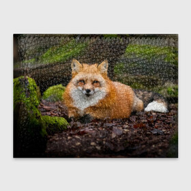 Обложка для студенческого билета с принтом Взрослый строгий лис в Курске, натуральная кожа | Размер: 11*8 см; Печать на всей внешней стороне | Тематика изображения на принте: fox | foxy | животное | звери | лиса | лисенок | лисичка | милая | рыжая | фокс