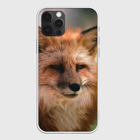 Чехол для iPhone 12 Pro Max с принтом Строгая лисица в Курске, Силикон |  | Тематика изображения на принте: fox | foxy | животное | звери | лиса | лисенок | лисичка | милая | рыжая | фокс
