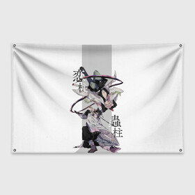 Флаг-баннер с принтом Шинобу и Мицури Kimetsu no Yaiba в Курске, 100% полиэстер | размер 67 х 109 см, плотность ткани — 95 г/м2; по краям флага есть четыре люверса для крепления | demon slayer | kamado | kimetsu no yaiba | nezuko | tanjiro | аниме | гию томиока | зеницу агацума | иноске хашибира | камадо | клинок | корзинная девочка | музан кибуцуджи | незуко | рассекающий демонов | танджиро | ш