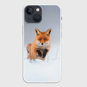 Чехол для iPhone 13 mini с принтом Лисица прыгает по снегу в Курске,  |  | fox | foxy | животное | звери | лиса | лисенок | лисичка | милая | рыжая | фокс