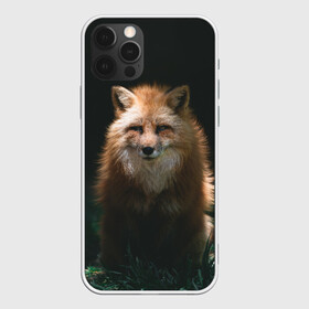 Чехол для iPhone 12 Pro Max с принтом Хитрый Лис в Курске, Силикон |  | animals | beast | forest | fox | nature | orange | predator | red | животные | зверь | лес | лис | лиса | лисица | лисичка | природа | рыжая | рыжий | фыр | хитрый | хищник