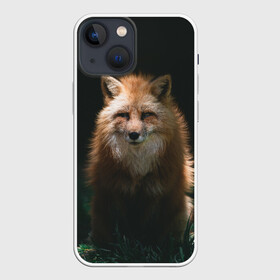 Чехол для iPhone 13 mini с принтом Хитрый Лис в Курске,  |  | animals | beast | forest | fox | nature | orange | predator | red | животные | зверь | лес | лис | лиса | лисица | лисичка | природа | рыжая | рыжий | фыр | хитрый | хищник