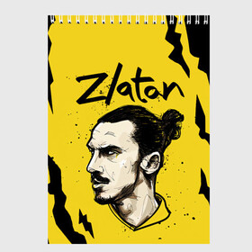 Скетчбук с принтом ЗЛАТАН ИБРАГИМОВИЧ / ZLATAN в Курске, 100% бумага
 | 48 листов, плотность листов — 100 г/м2, плотность картонной обложки — 250 г/м2. Листы скреплены сверху удобной пружинной спиралью | Тематика изображения на принте: football | sport | zlatan ibrahimovic | златан ибрагимович | милан | сборная швеции. zlatan | спорт | футбол