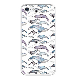 Чехол для iPhone 5/5S матовый с принтом киты паттерн в Курске, Силикон | Область печати: задняя сторона чехла, без боковых панелей | ocean | sea | sea animal | акварель | графика | касатка | киты | море | океан | рисунок кита