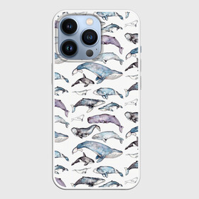 Чехол для iPhone 13 Pro с принтом киты паттерн в Курске,  |  | ocean | sea | sea animal | акварель | графика | касатка | киты | море | океан | рисунок кита