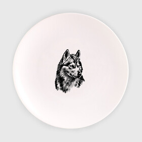 Тарелка с принтом Волк в Курске, фарфор | диаметр - 210 мм
диаметр для нанесения принта - 120 мм | wolf | волк | животное | зверь | хищник