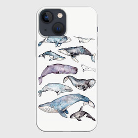 Чехол для iPhone 13 mini с принтом киты в Курске,  |  | ocean | sea | киты | море | морской принт | морской фон | океан | паттерн | рыбы | текстуры