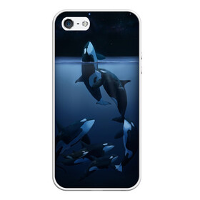 Чехол для iPhone 5/5S матовый с принтом касатки в Курске, Силикон | Область печати: задняя сторона чехла, без боковых панелей | ocean | orca | sea | sea animal | дельфин | касатка | кит | море | океан | рисунок кита