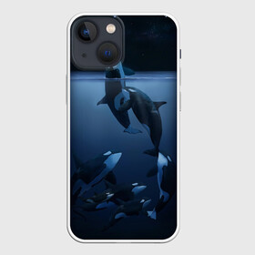 Чехол для iPhone 13 mini с принтом касатки в Курске,  |  | ocean | orca | sea | sea animal | дельфин | касатка | кит | море | океан | рисунок кита