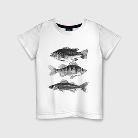 Детская футболка хлопок с принтом караси в Курске, 100% хлопок | круглый вырез горловины, полуприлегающий силуэт, длина до линии бедер | Тематика изображения на принте: ocean | sea | sea animal | графика | карась | море | океан | река | рисунок рыбы | рыба | рыбалка