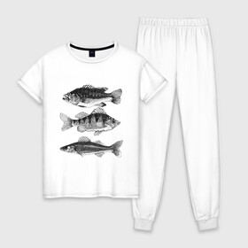 Женская пижама хлопок с принтом караси в Курске, 100% хлопок | брюки и футболка прямого кроя, без карманов, на брюках мягкая резинка на поясе и по низу штанин | ocean | sea | sea animal | графика | карась | море | океан | река | рисунок рыбы | рыба | рыбалка