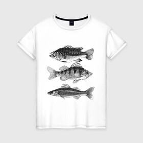 Женская футболка хлопок с принтом караси в Курске, 100% хлопок | прямой крой, круглый вырез горловины, длина до линии бедер, слегка спущенное плечо | Тематика изображения на принте: ocean | sea | sea animal | графика | карась | море | океан | река | рисунок рыбы | рыба | рыбалка