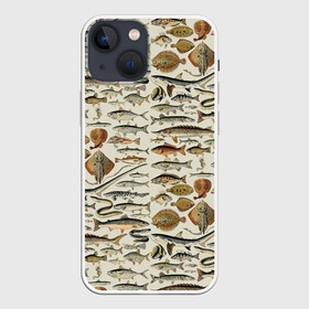 Чехол для iPhone 13 mini с принтом рыбный паттерн в Курске,  |  | ocean | sea | киты | море | морские мотивы | морской принт | морской фон | океан | паттерн | рыбы | текстуры