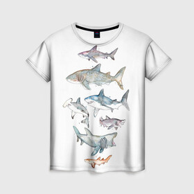 Женская футболка 3D с принтом акулы в Курске, 100% полиэфир ( синтетическое хлопкоподобное полотно) | прямой крой, круглый вырез горловины, длина до линии бедер | ocean | sea | sea animal | акварель | акула | море | океан | рисунок