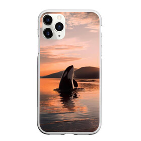 Чехол для iPhone 11 Pro матовый с принтом касатки на закате в Курске, Силикон |  | Тематика изображения на принте: ocean | orca | sea | sea animal | дельфин | закат | касатка | кит | море | океан | рисунок кита
