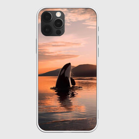 Чехол для iPhone 12 Pro с принтом касатки на закате в Курске, силикон | область печати: задняя сторона чехла, без боковых панелей | ocean | orca | sea | sea animal | дельфин | закат | касатка | кит | море | океан | рисунок кита