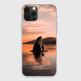 Чехол для iPhone 12 Pro Max с принтом касатки на закате в Курске, Силикон |  | ocean | orca | sea | sea animal | дельфин | закат | касатка | кит | море | океан | рисунок кита