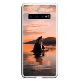 Чехол для Samsung Galaxy S10 с принтом касатки на закате в Курске, Силикон | Область печати: задняя сторона чехла, без боковых панелей | ocean | orca | sea | sea animal | дельфин | закат | касатка | кит | море | океан | рисунок кита