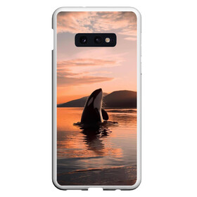 Чехол для Samsung S10E с принтом касатки на закате в Курске, Силикон | Область печати: задняя сторона чехла, без боковых панелей | ocean | orca | sea | sea animal | дельфин | закат | касатка | кит | море | океан | рисунок кита