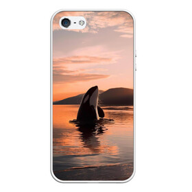 Чехол для iPhone 5/5S матовый с принтом касатки на закате в Курске, Силикон | Область печати: задняя сторона чехла, без боковых панелей | ocean | orca | sea | sea animal | дельфин | закат | касатка | кит | море | океан | рисунок кита