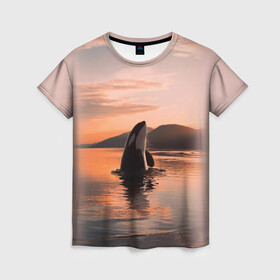 Женская футболка 3D с принтом касатки на закате в Курске, 100% полиэфир ( синтетическое хлопкоподобное полотно) | прямой крой, круглый вырез горловины, длина до линии бедер | ocean | orca | sea | sea animal | дельфин | закат | касатка | кит | море | океан | рисунок кита