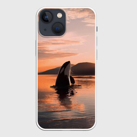 Чехол для iPhone 13 mini с принтом касатки на закате в Курске,  |  | Тематика изображения на принте: ocean | orca | sea | sea animal | дельфин | закат | касатка | кит | море | океан | рисунок кита
