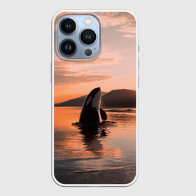 Чехол для iPhone 13 Pro с принтом касатки на закате в Курске,  |  | Тематика изображения на принте: ocean | orca | sea | sea animal | дельфин | закат | касатка | кит | море | океан | рисунок кита