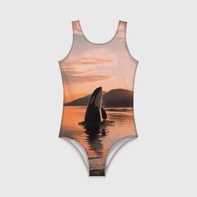 Детский купальник 3D с принтом касатки на закате в Курске, Полиэстер 85%, Спандекс 15% | Слитный крой, подклад по переду изделия, узкие бретели | ocean | orca | sea | sea animal | дельфин | закат | касатка | кит | море | океан | рисунок кита