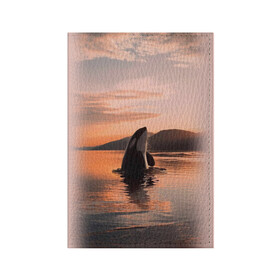 Обложка для паспорта матовая кожа с принтом касатки на закате в Курске, натуральная матовая кожа | размер 19,3 х 13,7 см; прозрачные пластиковые крепления | ocean | orca | sea | sea animal | дельфин | закат | касатка | кит | море | океан | рисунок кита