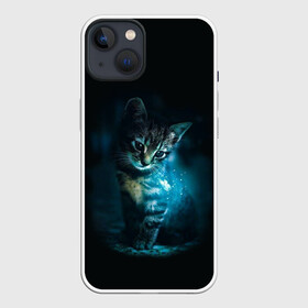 Чехол для iPhone 13 с принтом красивый кот в Курске,  |  | бабочки и кошки в красивом свете | кот в свете | одинокий кот | только бабочки