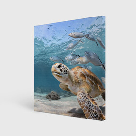 Холст квадратный с принтом Морская черепаха в Курске, 100% ПВХ |  | море | морская | океан | подводный мир | рыбы | черепаха