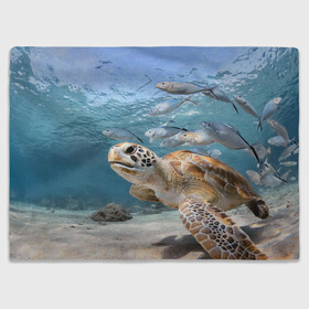 Плед 3D с принтом Морская черепаха в Курске, 100% полиэстер | закругленные углы, все края обработаны. Ткань не мнется и не растягивается | Тематика изображения на принте: море | морская | океан | подводный мир | рыбы | черепаха