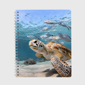Тетрадь с принтом Морская черепаха в Курске, 100% бумага | 48 листов, плотность листов — 60 г/м2, плотность картонной обложки — 250 г/м2. Листы скреплены сбоку удобной пружинной спиралью. Уголки страниц и обложки скругленные. Цвет линий — светло-серый
 | Тематика изображения на принте: море | морская | океан | подводный мир | рыбы | черепаха