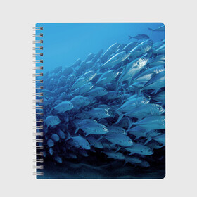 Тетрадь с принтом Морские рыбы в Курске, 100% бумага | 48 листов, плотность листов — 60 г/м2, плотность картонной обложки — 250 г/м2. Листы скреплены сбоку удобной пружинной спиралью. Уголки страниц и обложки скругленные. Цвет линий — светло-серый
 | косяк | море | океан | подводный мир | рыбки | рыбы