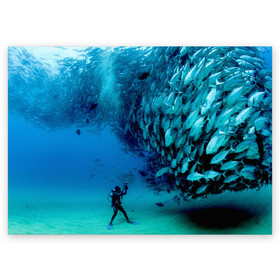 Поздравительная открытка с принтом Фото дайвинг в Курске, 100% бумага | плотность бумаги 280 г/м2, матовая, на обратной стороне линовка и место для марки
 | дайвер | косяк | море | океан | подводный мир | рыбки | рыбы | фото дайвинг