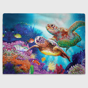 Плед 3D с принтом Морские черепахи в Курске, 100% полиэстер | закругленные углы, все края обработаны. Ткань не мнется и не растягивается | коралловые | море | морские | океан | подводный мир | рифы | рыбки | рыбы | черепахи
