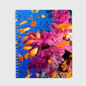 Тетрадь с принтом Коралловые рыбки в Курске, 100% бумага | 48 листов, плотность листов — 60 г/м2, плотность картонной обложки — 250 г/м2. Листы скреплены сбоку удобной пружинной спиралью. Уголки страниц и обложки скругленные. Цвет линий — светло-серый
 | коралловые | море | океан | подводный мир | рифы | рыбки | рыбы