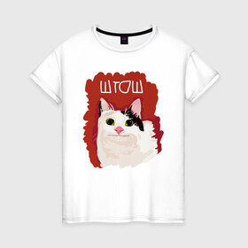 Женская футболка хлопок с принтом котик ШТОШ в Курске, 100% хлопок | прямой крой, круглый вырез горловины, длина до линии бедер, слегка спущенное плечо | Тематика изображения на принте: кот | меме | прикол | штош | юмор