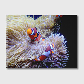 Альбом для рисования с принтом Клоуны в актинии в Курске, 100% бумага
 | матовая бумага, плотность 200 мг. | актиния | клоуны | коралловые | море | подводный мир | рыбки