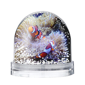 Игрушка Снежный шар с принтом Клоуны в актинии в Курске, Пластик | Изображение внутри шара печатается на глянцевой фотобумаге с двух сторон | актиния | клоуны | коралловые | море | подводный мир | рыбки
