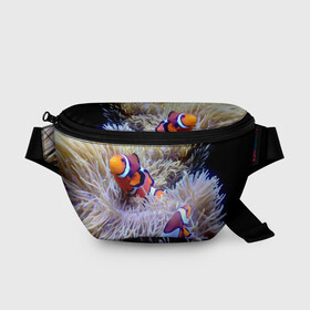 Поясная сумка 3D с принтом Клоуны в актинии в Курске, 100% полиэстер | плотная ткань, ремень с регулируемой длиной, внутри несколько карманов для мелочей, основное отделение и карман с обратной стороны сумки застегиваются на молнию | актиния | клоуны | коралловые | море | подводный мир | рыбки