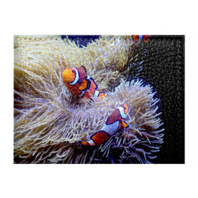 Обложка для студенческого билета с принтом Клоуны в актинии в Курске, натуральная кожа | Размер: 11*8 см; Печать на всей внешней стороне | актиния | клоуны | коралловые | море | подводный мир | рыбки