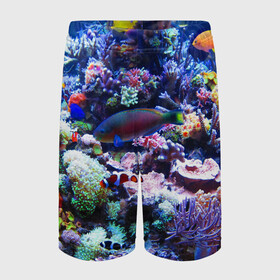 Детские спортивные шорты 3D с принтом Коралловые рыбки в Курске,  100% полиэстер
 | пояс оформлен широкой мягкой резинкой, ткань тянется
 | коралловые | кораллы | море | морские обитатели | океан | подводный мир | рыбки