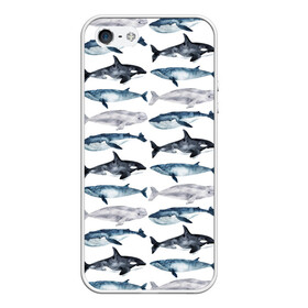 Чехол для iPhone 5/5S матовый с принтом киты в Курске, Силикон | Область печати: задняя сторона чехла, без боковых панелей | ocean | sea | касатки | киты | море | морские мотивы | морской принт | морской фон | океан | паттерн | рыбы | текстуры