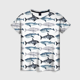 Женская футболка 3D с принтом киты в Курске, 100% полиэфир ( синтетическое хлопкоподобное полотно) | прямой крой, круглый вырез горловины, длина до линии бедер | ocean | sea | касатки | киты | море | морские мотивы | морской принт | морской фон | океан | паттерн | рыбы | текстуры