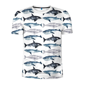 Мужская футболка 3D спортивная с принтом киты в Курске, 100% полиэстер с улучшенными характеристиками | приталенный силуэт, круглая горловина, широкие плечи, сужается к линии бедра | ocean | sea | касатки | киты | море | морские мотивы | морской принт | морской фон | океан | паттерн | рыбы | текстуры