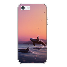 Чехол для iPhone 5/5S матовый с принтом касатки в Курске, Силикон | Область печати: задняя сторона чехла, без боковых панелей | ocean | orca | sea | sea animal | дельфин | закат | касатка | кит | море | океан | рисунок кита